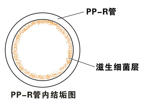 PP-R滲氧，易滋生細菌，有異味；腐蝕金屬連接件，降低使用壽命